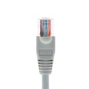 NEXXT PATCH CORD UTP CAT.5E MULTIFILAR 24AWG 14FT CM GRIS - GS-COM
