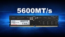 ADATA MEMORIA 32GB DDR5 UDIMM MODULO 5600 MT/s - Adata